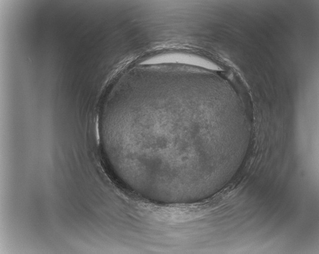 X0000057070020200510010145