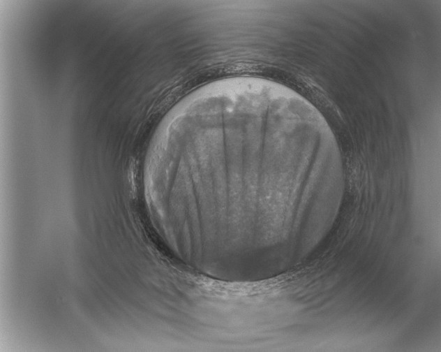 X0000057070026200510010145