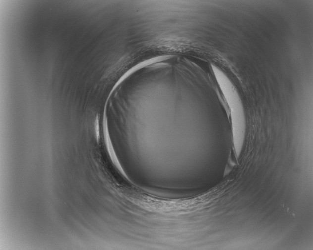 X0000057070027200510010145