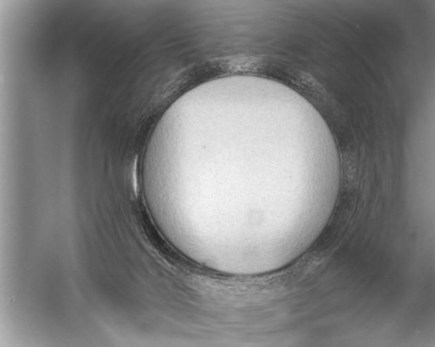 X0000057070028200510010145