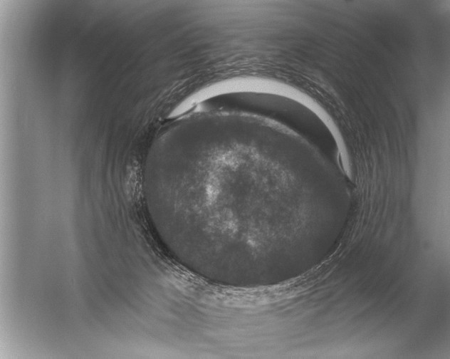 X0000057070029200510010145