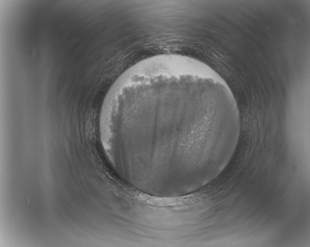 X0000057070030200510010145