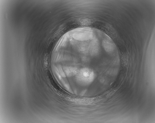 X0000057070032200510010145