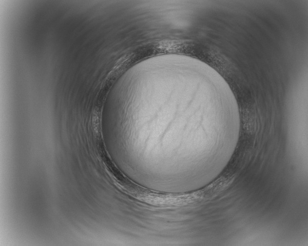 X0000057070036200510010145