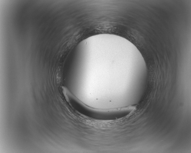 X0000057070040200510010145