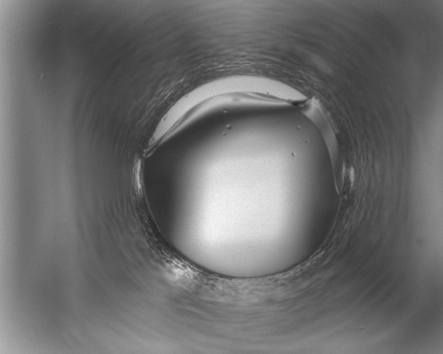 X0000057070041200510010145