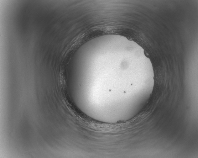 X0000057070044200510010145