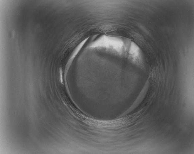 X0000057070046200510010145