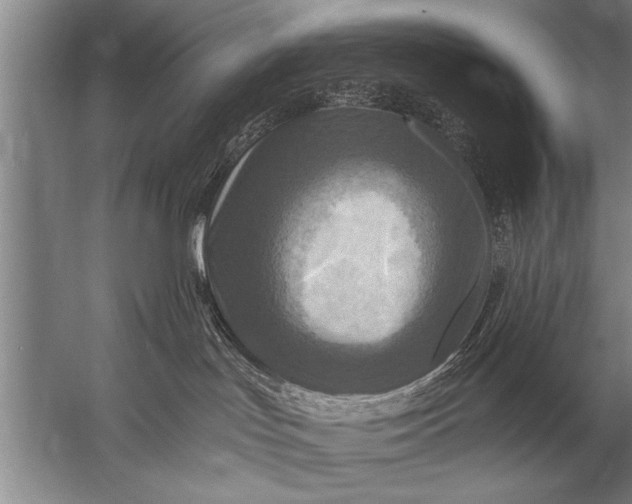 X0000057070047200510010145