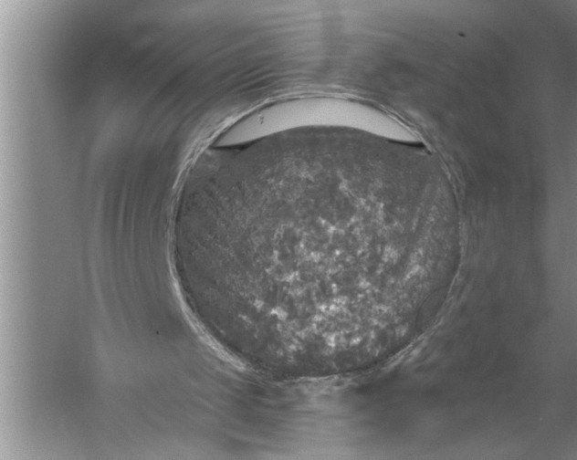 X0000057070049200510010144