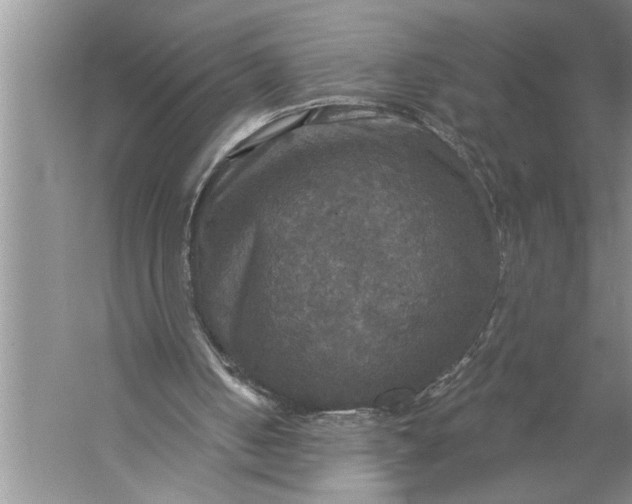 X0000057070050200510010144