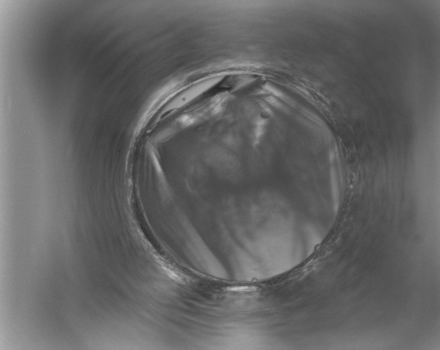 X0000057070053200510010144