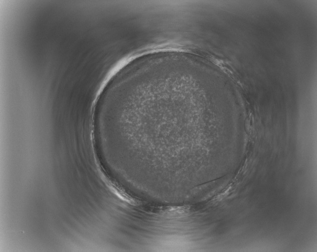 X0000057070056200510010144