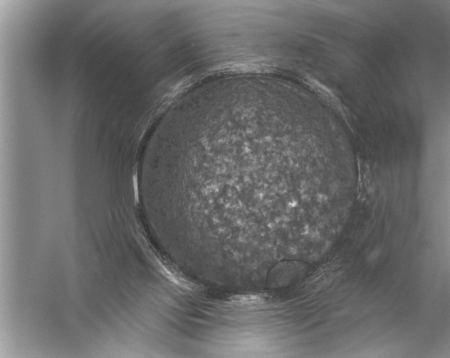 X0000057070061200510010144