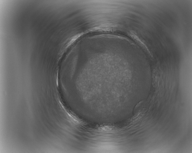 X0000057070062200510010144