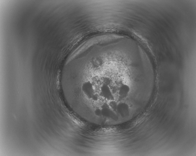 X0000057070065200510010144