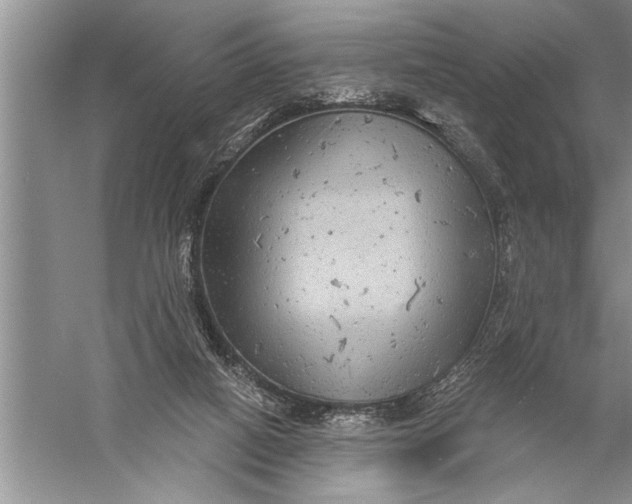 X0000057070066200510010144