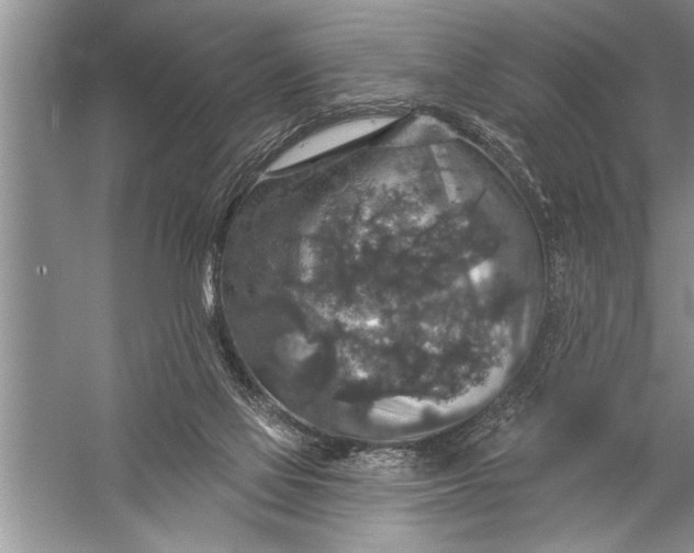 X0000057070069200510010144