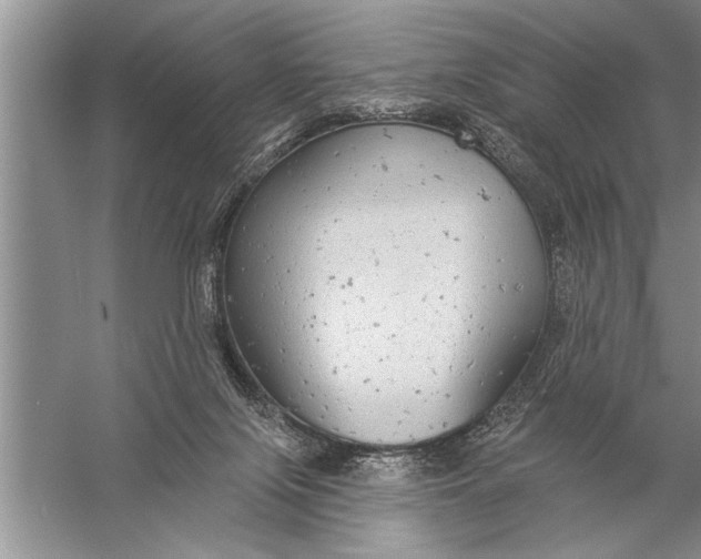 X0000057070071200510010144