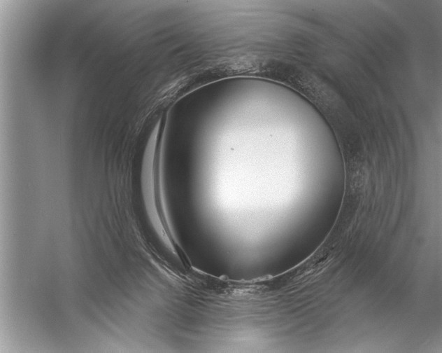 X0000057070072200510010144