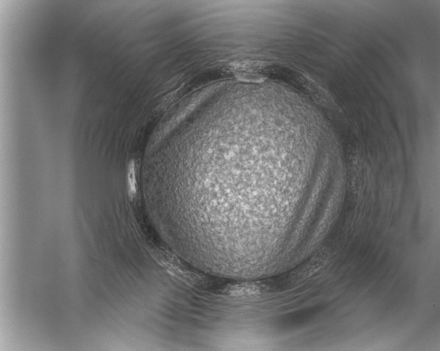 X0000057070075200510010144