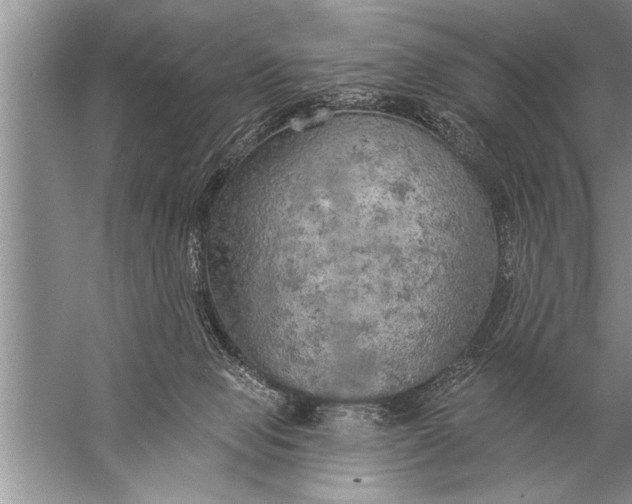 X0000057070077200510010144