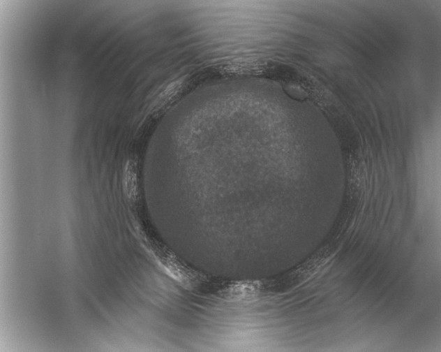 X0000057070080200510010144