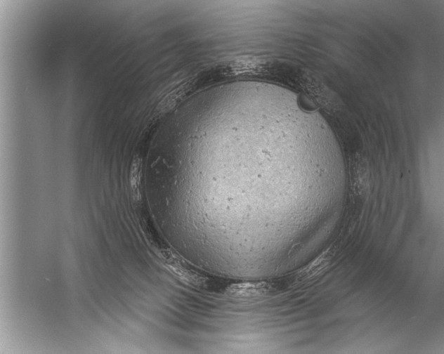 X0000057070082200510010144