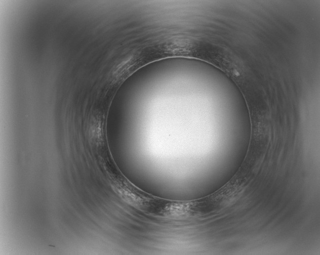 X0000057070084200510010144