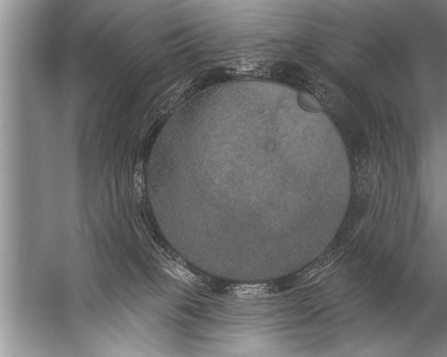 X0000057070085200510010145