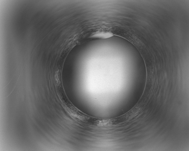 X0000057070088200510010145