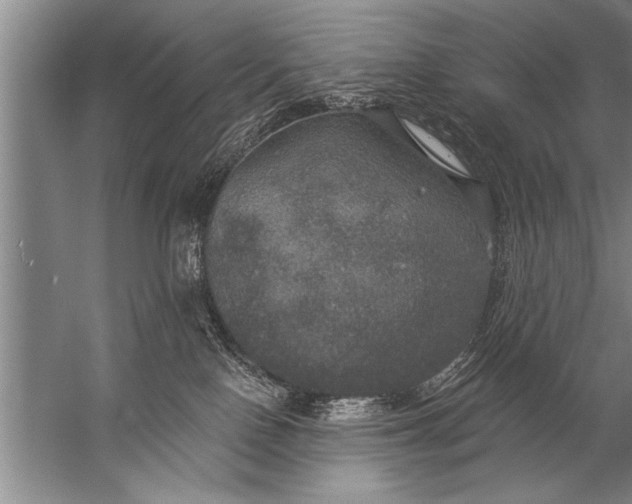 X0000057070090200510010145