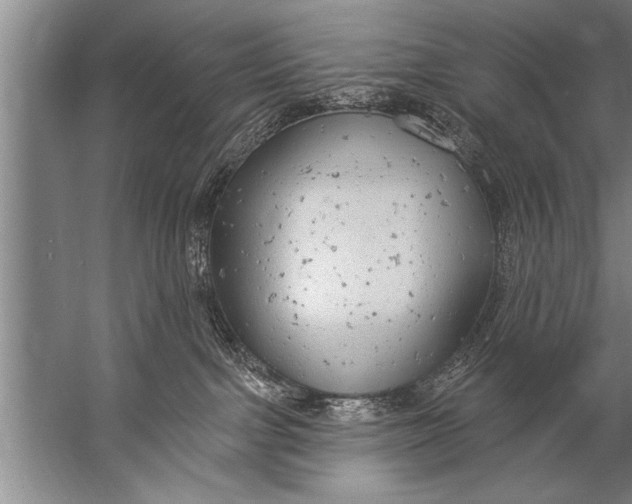 X0000057070091200510010145