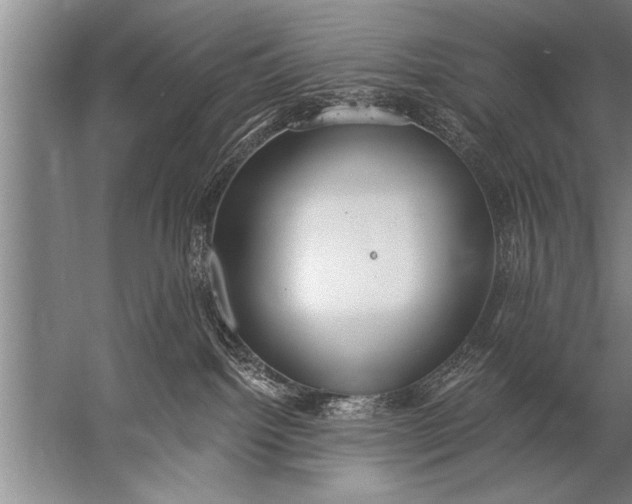 X0000057070092200510010145