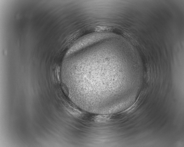 X0000057070094200510010145