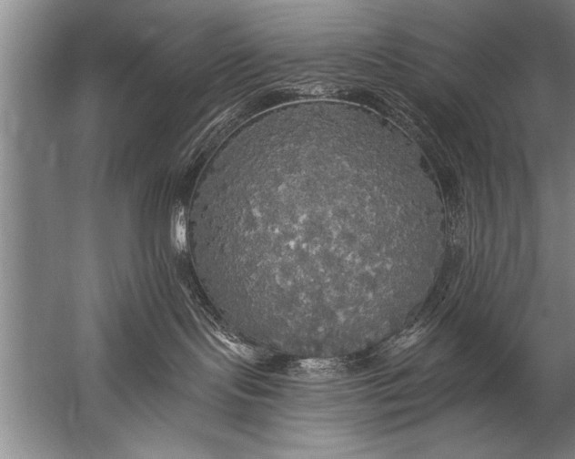 X0000057070095200510010145