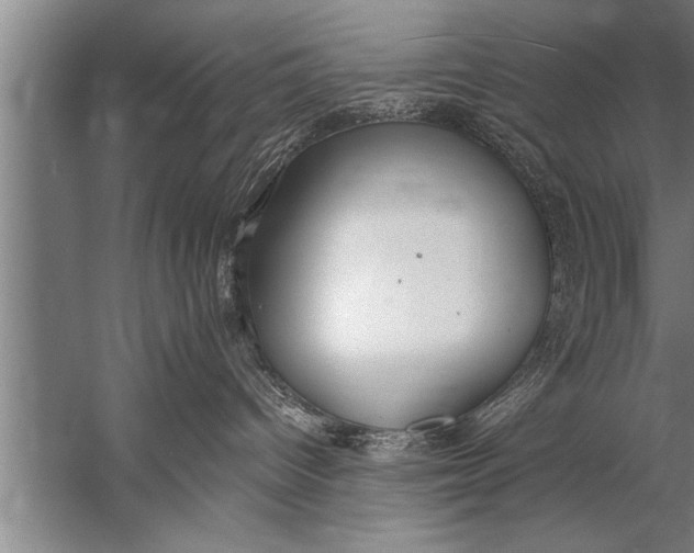 X0000057070096200510010145