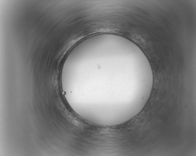 X0000057070098200510010144