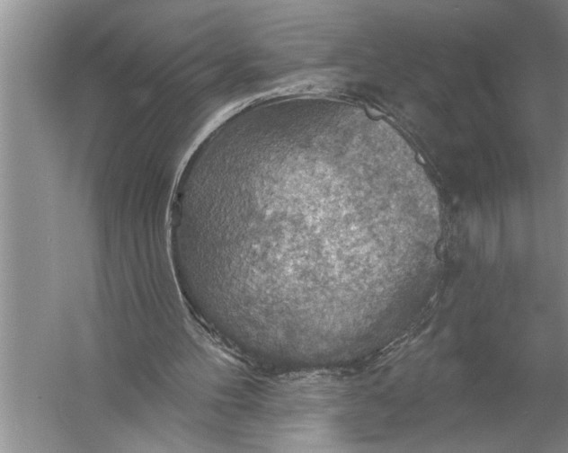 X0000057070100200510010144