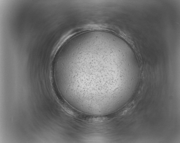 X0000057070103200510010144