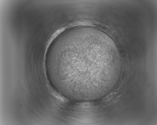 X0000057070104200510010144