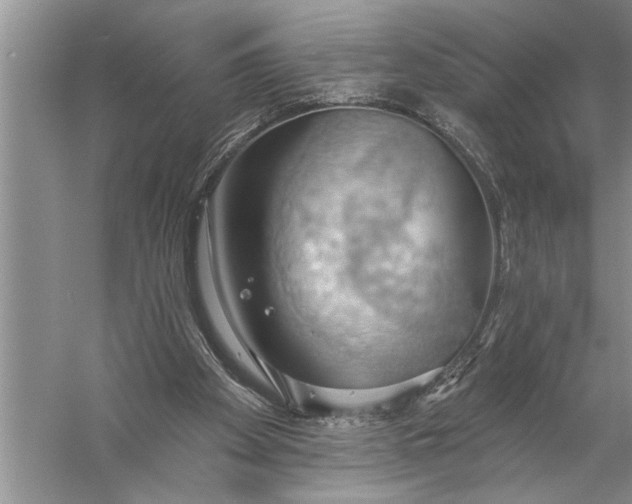 X0000057070105200510010144