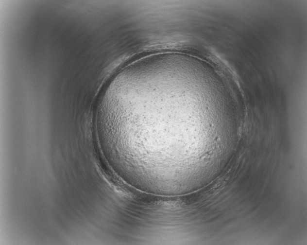 X0000057070107200510010144