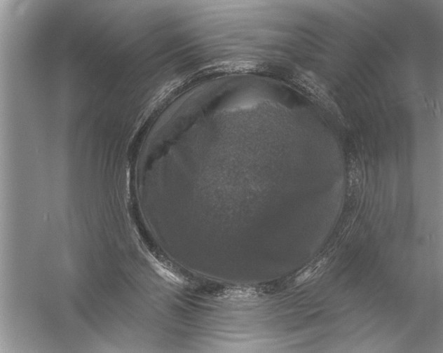 X0000057070110200510010144