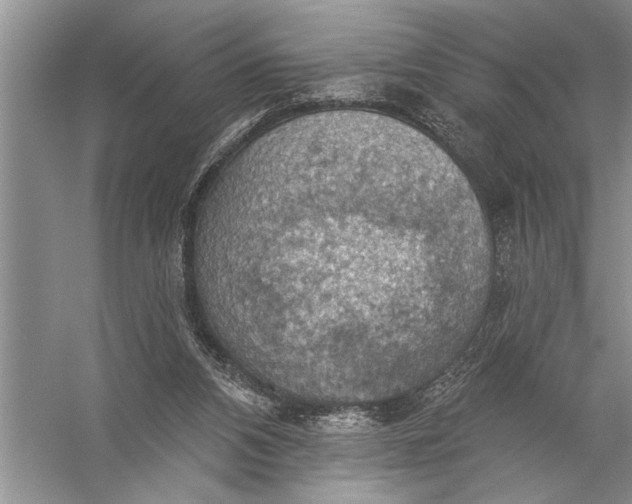 X0000057070112200510010144