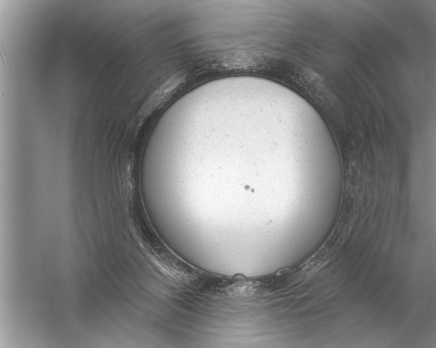 X0000057070116200510010144