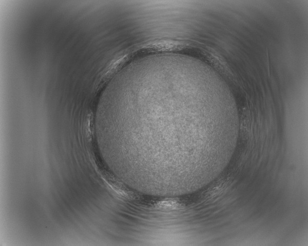 X0000057070119200510010143