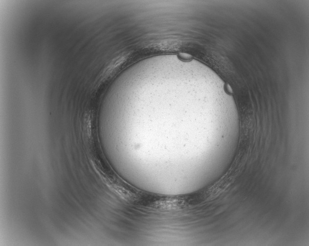 X0000057070120200510010143