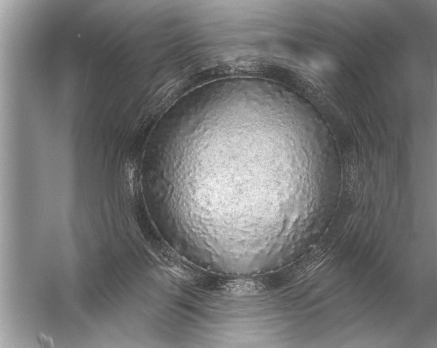 X0000057070123200510010143