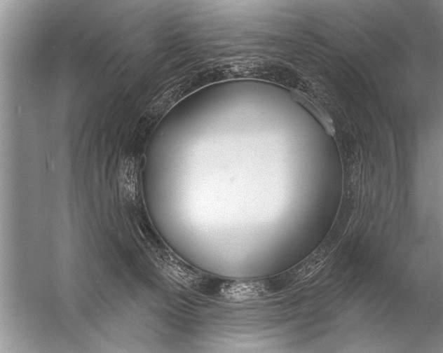 X0000057070129200510010143